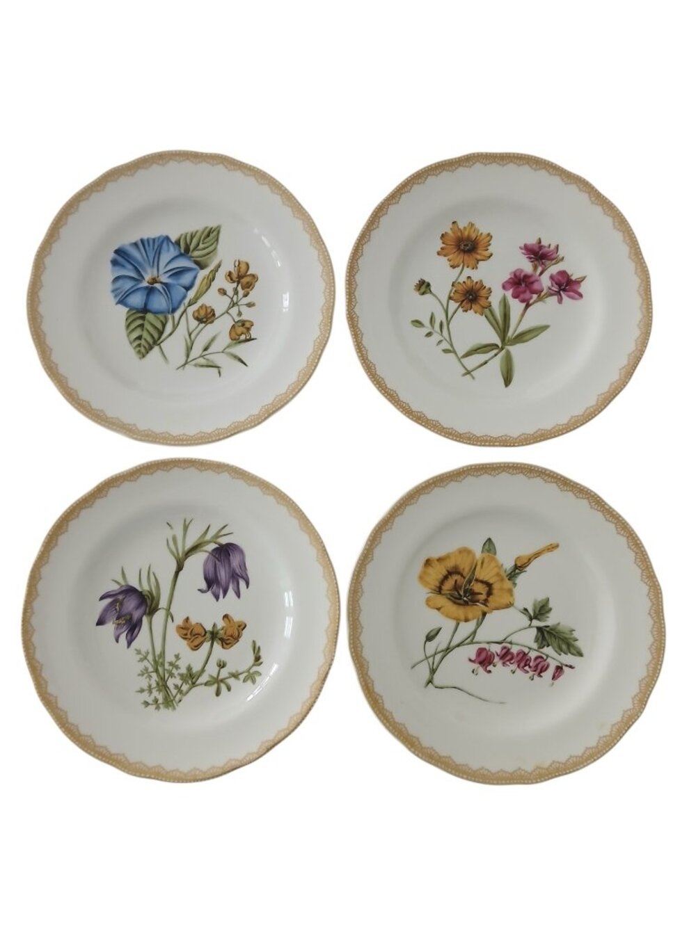 Biltmore Crochet Flower Salad Plates Set 4 Botanical Fine China 9”